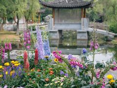 -武汉园博园(武汉自然博物馆)