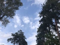 -黑龙江省森林植物园