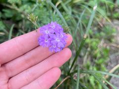 -茅草房·河畔园林火锅