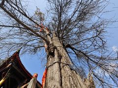 -金堂县云顶石城风景区
