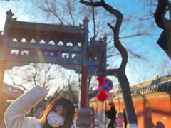 -北京国子监胡同