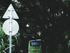 -深圳仙湖植物园