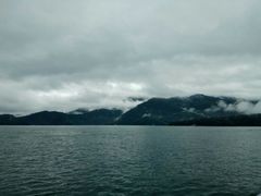 -金盆阿嬷香菇茶叶蛋(玄光店)