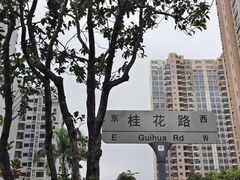 -福田红树林生态公园