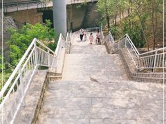 -白水寺森林公园