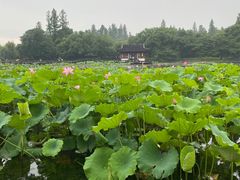 -北山街历史文化街区