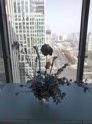 -颜蕾医美黄金微针水光美肤玻尿酸抗衰中心