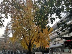 -大连理工大学(凌水校区)