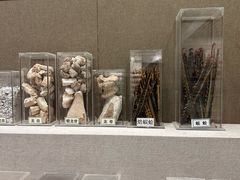 -北京中医药大学-中医药博物馆