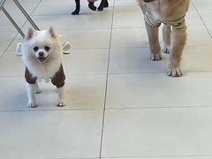 -怪兽屋·羊驼·猫咖·狗咖(俊华广场店)