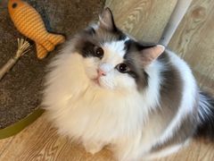 -白兔子密室(长寿路店)