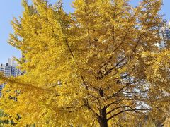 -苏州河梦清园环保主题公园