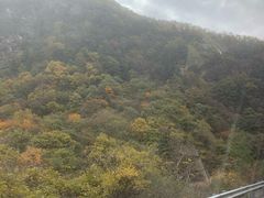 -秦岭风景区