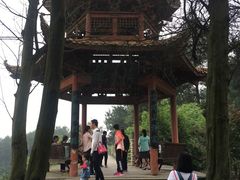 -铁山坪森林公园