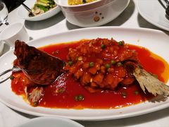 松鼠大桂鱼-绿波廊(豫园店)