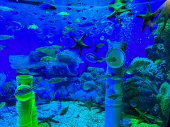 -海合安成都极地海洋公园