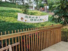 -飞凤山奥体公园