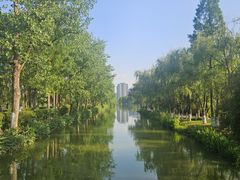-洋湖国家湿地公园