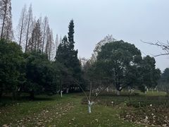 -花溪公园