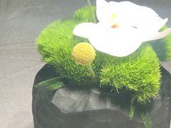 -南堂馆·新川菜(春熙路店)