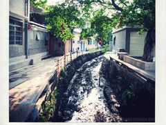 -小洲村