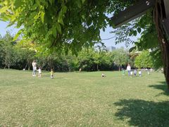 -硅谷蒙学幼儿园