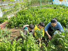 -大自然农场蔬菜草莓采摘园