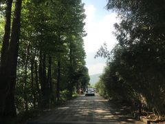 -腾冲和顺柏联酒店