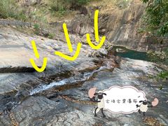 -广州白江湖森林公园