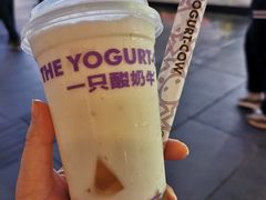 -一只酸奶牛(八一路店)