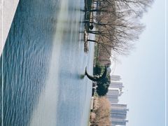 -昆山城市生态森林公园