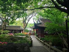-上海醉白池公园
