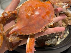 -半岛听涛蒸汽海鲜自助(K11店)