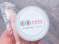 -洪馨椰子