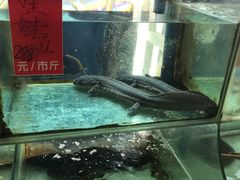 -南庄酒家·海鲜粤菜·25年老字号(环城南路店)
