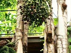 -北京植物园-展览温室