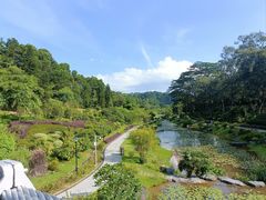 -东莞植物园
