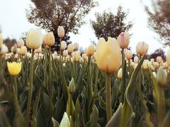 -长春公园(普阳街道)