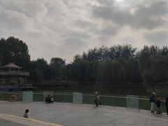 -黄村公园