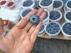 -文山荷鲜居(翠湖店)
