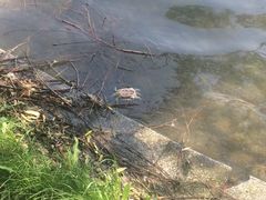 -天鹅湖体育公园