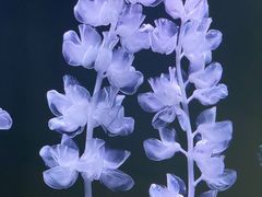 -时代美术馆-成都馆