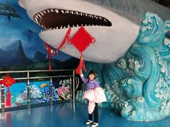 -多彩贵州城极地海洋世界