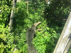 -天津市动物园