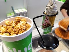 -Salud撒露欧洲冻酸奶(蓝色港湾店)