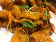 麻辣锅包肉-老江南春·中国龙菜(衡山路店)