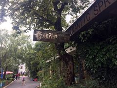 大堂-春暖花开(西溪店)