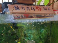 -闯关东东北农家菜(崂山石老人店)