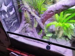 -酷嗒动物文化乐园(cutezoo西溪乐天城店)