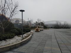 -青岛嘉年华主题乐园